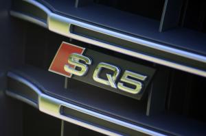 Audi SQ5 TFSI 2013 года  (NA)
